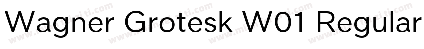 Wagner Grotesk W01 Regular字体转换